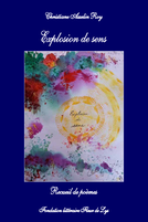 VERSION NUMÉRIQUE FINALE